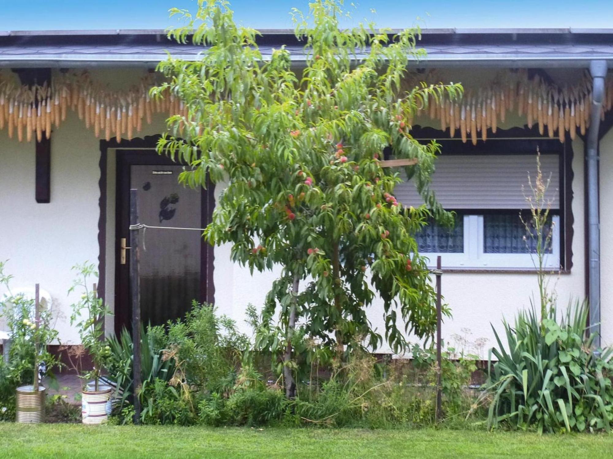Bungalow In Luebben An Der Spree 외부 사진